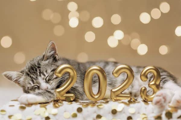 capodanno cane gatto