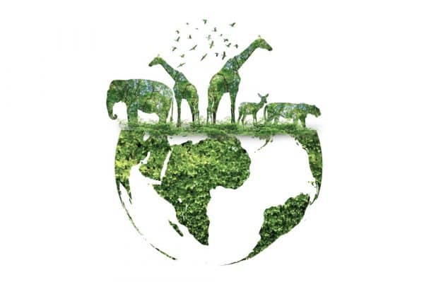 wildlife day