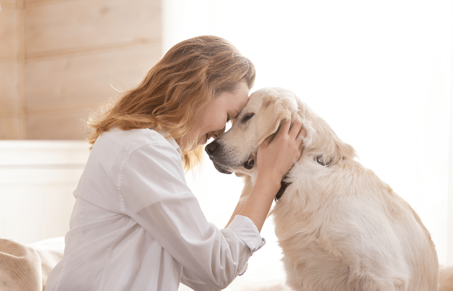 ca zampa clinica veterinaria sostenibile