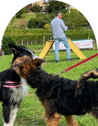 ca zampa clinica veterinaria sostenibile