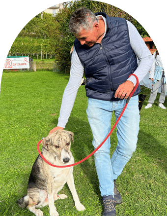 ca zampa clinica veterinaria sostenibile